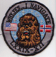 AF Patch 17.gif (93475 bytes)