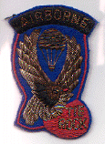 Abn Inf Regt 503 Bullion.gif (60164 bytes)