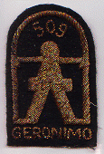 Abn Inf Regt 509 Bullion.gif (67842 bytes)