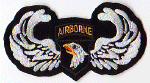 Abn Wing 101st Abn Div.gif (61748 bytes)