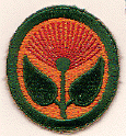 Def Cmd Hawaiian Coastal Def Cmd fe.gif (41189 bytes)