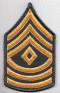 Enlisted E-8 1st SG Green.gif (99354 bytes)