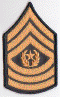 Enlisted E-9 CSM Green.gif (105987 bytes)