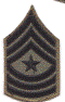 Enlisted E-9 Subdued SGM.gif (100695 bytes)