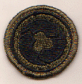 Log Cmd 311th Subdued.gif (30768 bytes)