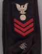 Navy Cheif Sleeve.gif (319065 bytes)