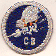 Navy Sea Bees.gif (36387 bytes)