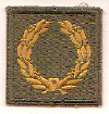 Q Meritorious Service Award 1st fe.gif (34286 bytes)