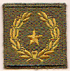 Q Meritorious Service Award 5th fe.gif (33012 bytes)