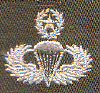 Q Para Mstr Award OD.gif (21254 bytes)