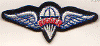 Q Parachute Rigger Award.gif (24809 bytes)