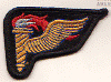 Q Pathfinder Award.gif (36793 bytes)