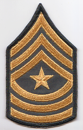 U.S ARMY AUFNÄHER KLETT PATCH SPECIALIST OR-4 RANK OLIV SUDUED