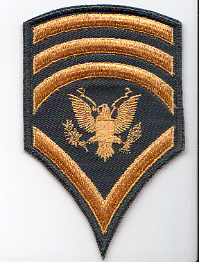 us army specialist ranks